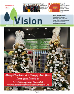 December Vision cover art